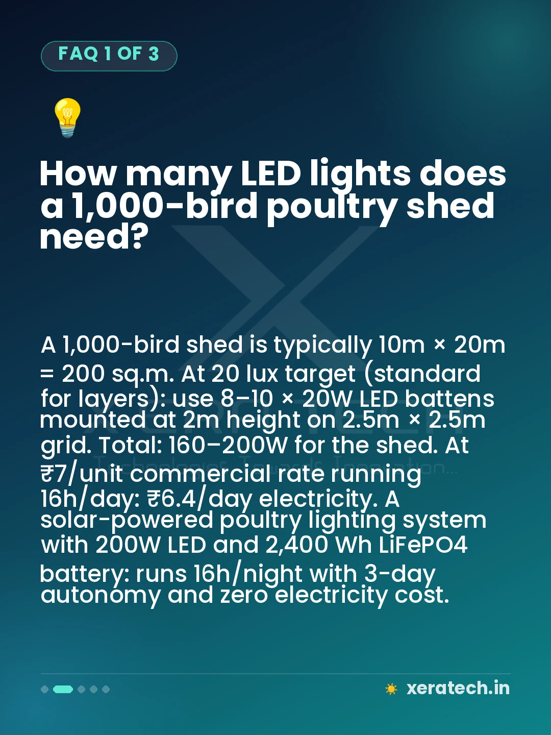 How many LED lights does a 1,000-bird poultry shed need?