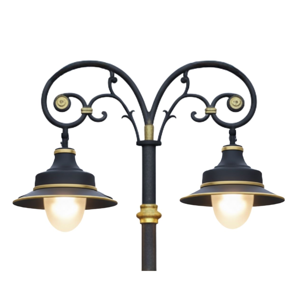 50W Double Arm Decorative Street Light
