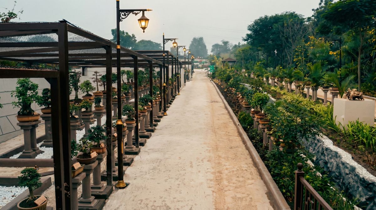 Decorative street light installed successfully at Gujarat thumbnail 5