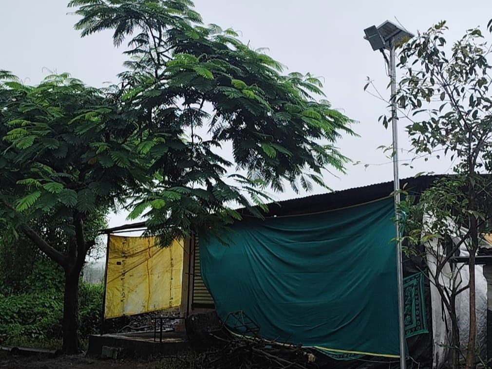 Solar Street Light Installation At Nashik - Gallery Image 2